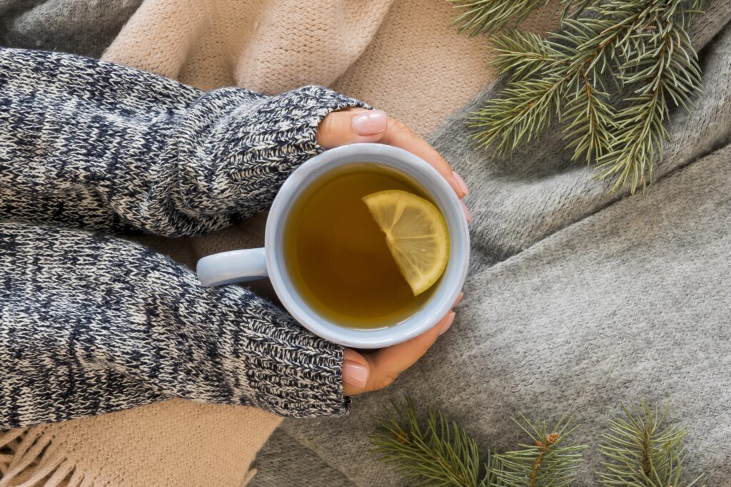 Mejor Té para Invierno: Los Blends Ideales para Abrazar la Taza y Olvidarte del Frío 2 invierno te