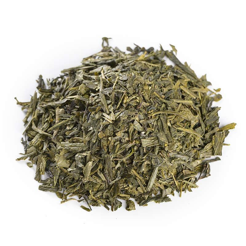 sencha 800x800 1