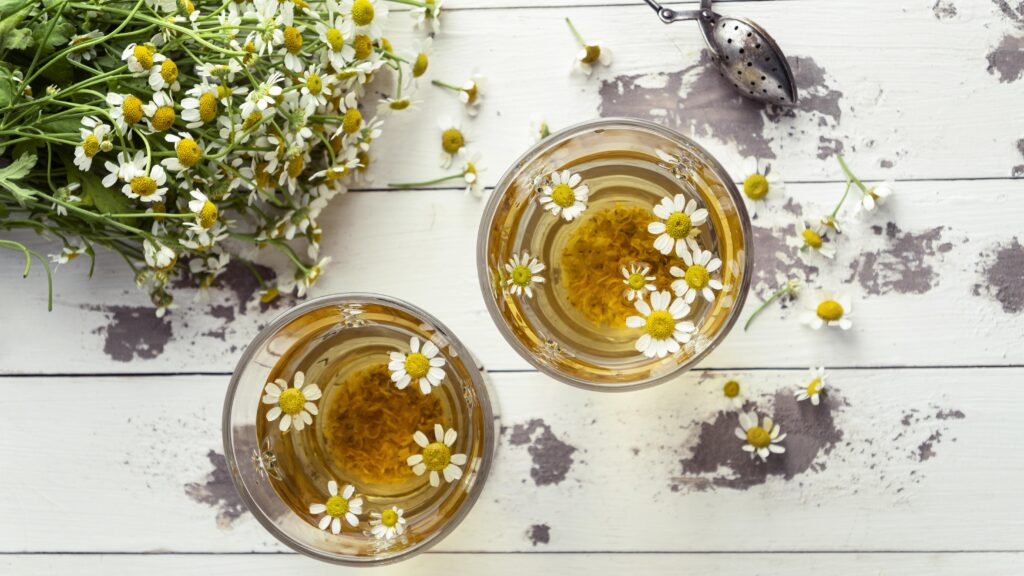 Té de Diente de León: propiedades, beneficios y cómo prepararlo 1 te de diente de leon